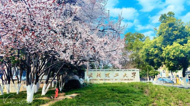 武汉理工大学文凭(武汉理工大学本科毕业证图片)