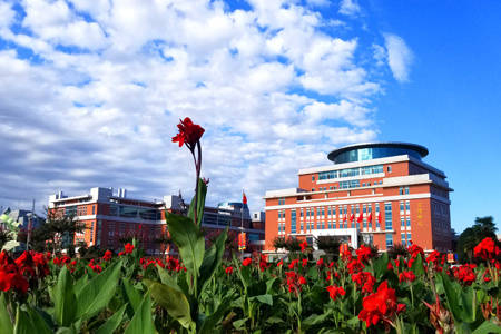 西北农林科技大学(西北农林科技大学是985还是211)