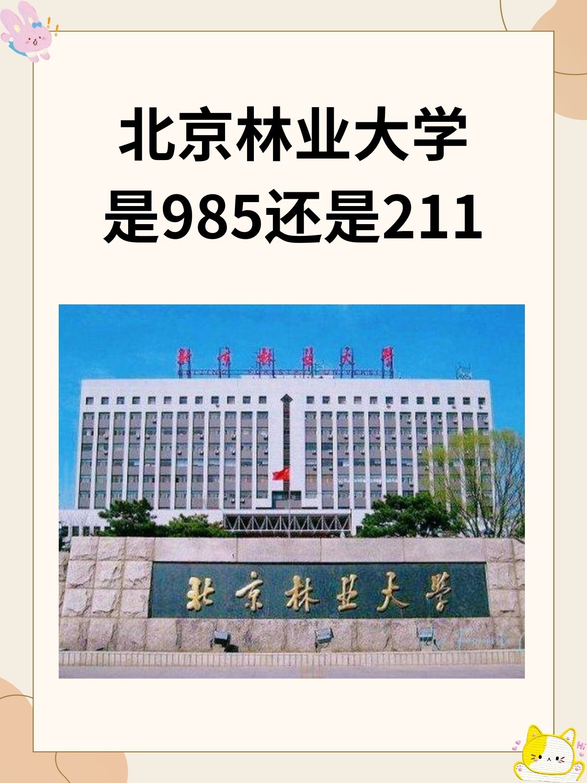 北京林业大学(北京林业大学教务处)