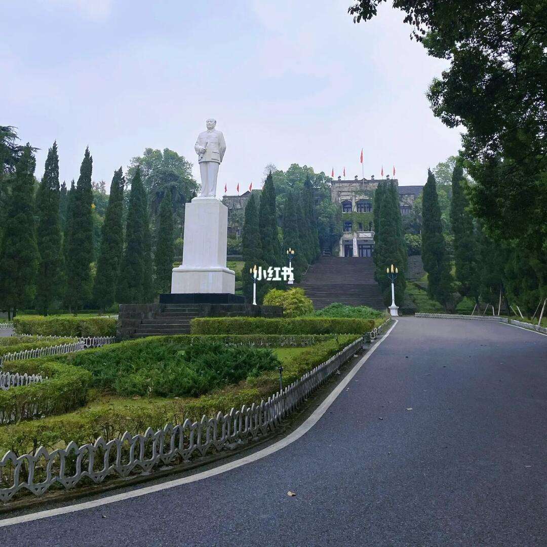 西南大学在哪里