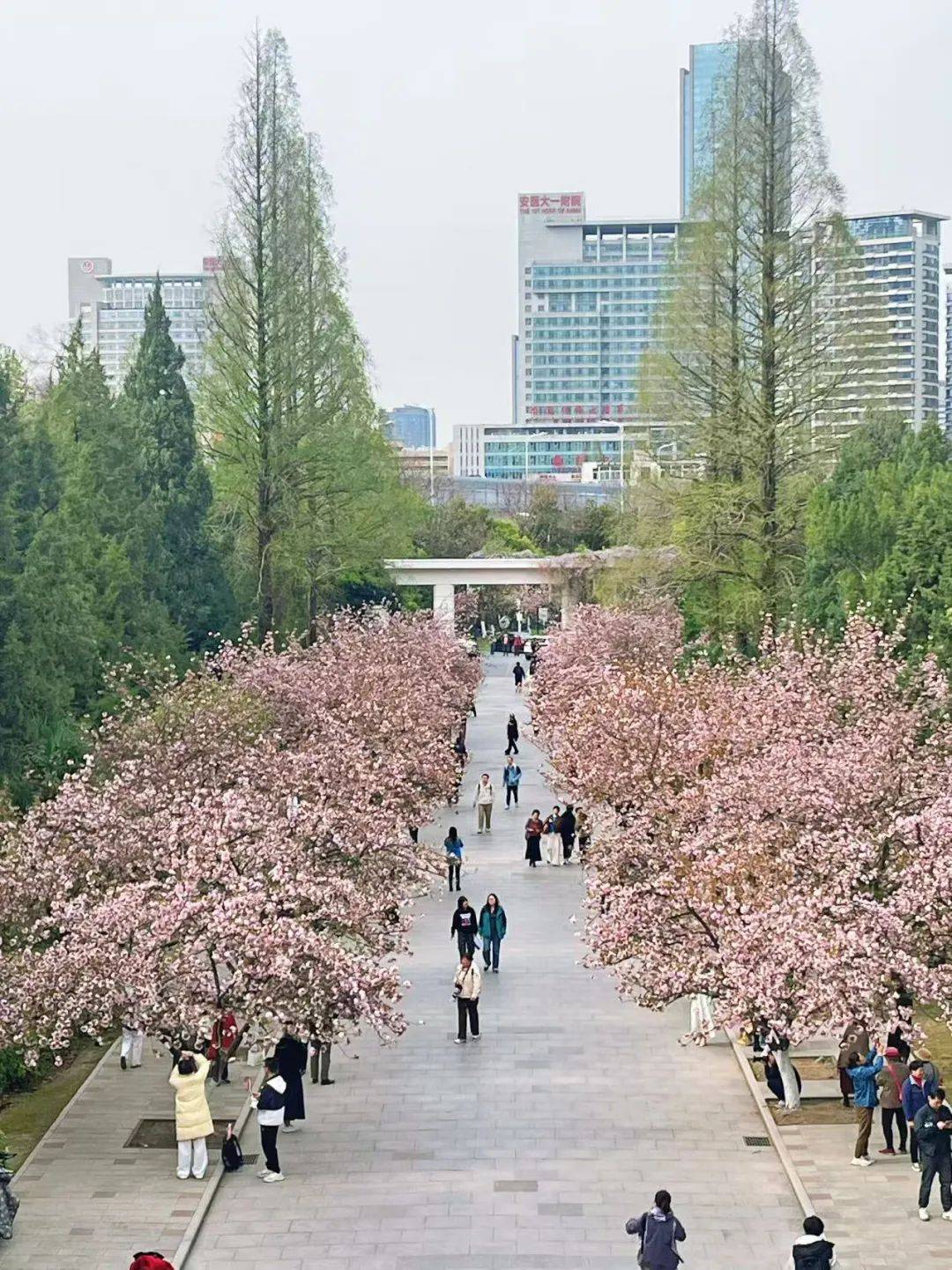 中国科学技术大学官网